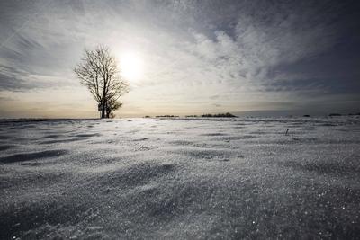 Winterzauber auf der Schw?bischen Alb, Die Schw?bische Alb hat sich in ein winterliches Wunderland verwandelt. Der Heide-stock-foto