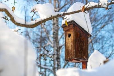 wooden birdhouse in winter, snow covered bird house wooden birdhouse in winter, snow covered bird house for starlings Co-stock-photo