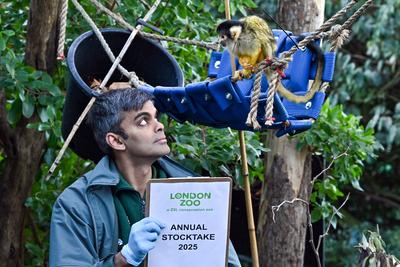 Annual Stocktake 2025 at ZSL London Zoo-stock-photo