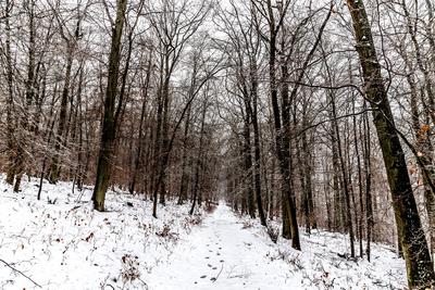 05.01.2025 - Winterlandschaft: ?ber Nacht kam auch in Rheinland-Pfalz der Wintereinbruch mit Schnee- und Schneeregen. Zu-stock-foto