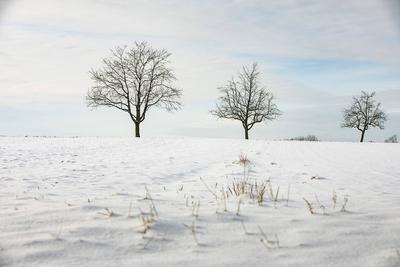 Winterzauber auf der Schw?bischen Alb, Die Schw?bische Alb hat sich in ein winterliches Wunderland verwandelt. Der Heide-stock-foto