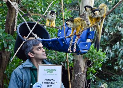 Annual Stocktake 2025 at ZSL London Zoo-stock-photo
