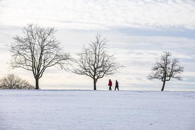 Winterzauber auf der Schw?bischen Alb, Die Schw?bische Alb hat sich in ein winterliches Wunderland verwandelt. Der Heide-stock-foto