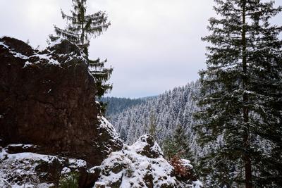 Winter im Th?ringer Wald an der Ohratalsperre, 04.01.2025 Luisenthal Th?ringen Deutschland *** Winter in the Thuringian-stock-foto