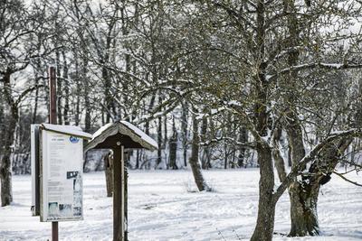 Winterzauber auf der Schw?bischen Alb, Die Schw?bische Alb hat sich in ein winterliches Wunderland verwandelt. Der Heide-stock-foto