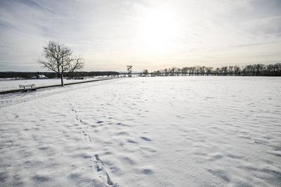 Winterzauber auf der Schw?bischen Alb, Die Schw?bische Alb hat sich in ein winterliches Wunderland verwandelt. Der Heide-stock-foto