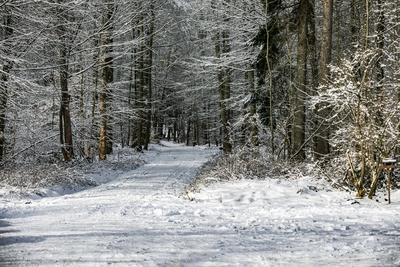 Winterzauber auf der Schw?bischen Alb, Die Schw?bische Alb hat sich in ein winterliches Wunderland verwandelt. Der Heide-stock-foto