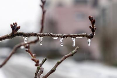 Eisregen in Hessen-stock-foto