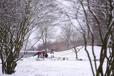 05.01.2025, Wintereinbruch in NRW-stock-foto