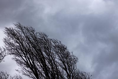 St?rmisches Wetter-stock-foto