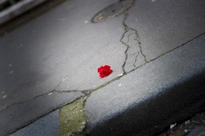 Anschlag auf das Redaktionsgeb?ude der franz?sischen Satirezeitschrift Charlie Hebdo in Paris Fra-stock-foto