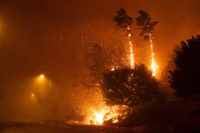 LOS ANGELES, CA - JANUARY 07: A wind-driven fire burns on January 7, 2025 in Los Angeles, California. Santa Ana wind is-stock-foto