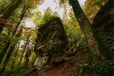 Wandern im Mullerthal-stock-foto