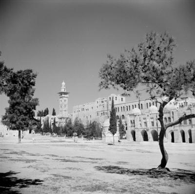Poll photo collection. Middle East 1950-1955: Jerusalem. Al Haram Esh-Sharif - Temple Mountain and Minaret. 1950. Israel-stock-foto
