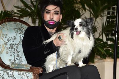 Teuber by Harald Gl??ckler Harald Gl??ckler mit Hund Billy King Im Auftrag der Firma Adelshof Immobilien, Herrn Til Maxi-stock-foto