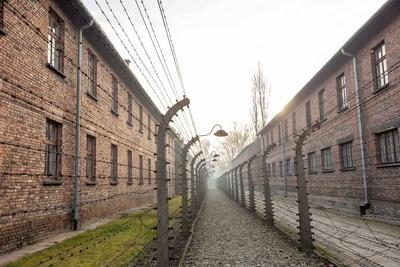 75. Jahrestag der Befreiung von Auschwitz 75. Jahrestag der Befreiung des Deutschen Konzentrationslager Auschwitz Stach-stock-foto