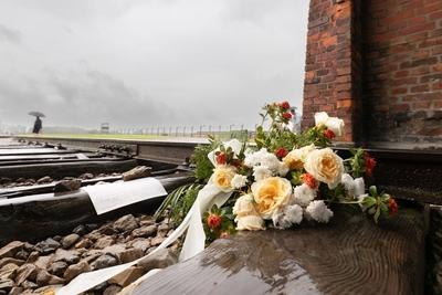 KZ Auschwitz Besucher haben an dem Einfahrttor zum Konzentrationslager Auschwitz-Birkenau Blumen auf die Schienen auf de-stock-foto