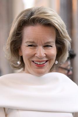 King Philippe and Queen Mathilde receive the heads of diplomatic missions-stock-photo