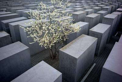 Vor zehn Jahre, am 10.05.2005, wurde das Holocaust-Mahnmal in Berlin feierlich eingeweiht (Foto vom 29.04.15). Das sued-stock-photo