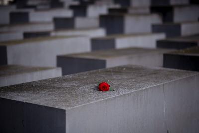 Holocaust Memorial Deu, Deutschland, Germany, Berlin, 22.10.2023 Rote Rose zur Erinnerung auf einer Stele auf dem Gelaen-stock-foto