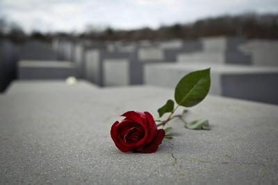 29.01.2020, Berlin, Deutschland - Foto: Eine Rose liegt auf einer Stele am Denkmal fuer die ermordeten Juden Europas. D-stock-foto