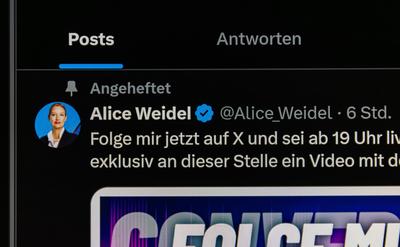 Profile of AfD politician Alice Weidel on Platform X Zurich, Switzerland, 9th Jan 2025: The profile of AfD politician Al-stock-foto