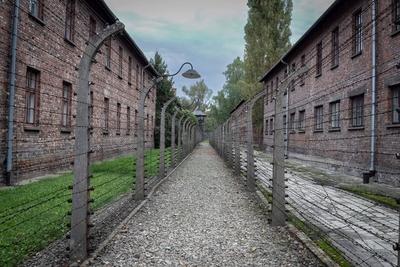 KZ Auschwitz Stacheldrahtzaun und Wachtuerme sollten Gefangene an der Flucht aus dem Konzentrationslager hindern *** Aus-stock-foto