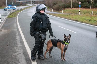 Riesa - 10.000 Menschen erwartet: Gro?demonstration gegen AfD-Parteitag, Polizei mit Gro?aufgebot vor Ort-stock-foto