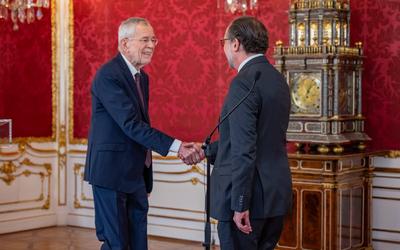 20250110 Betrauung von Schallenberg mit der Fortfuehrung der Verwaltung des Bundeskanzleramtes-stock-foto