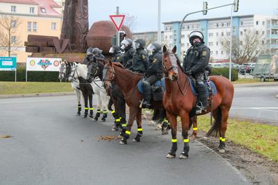 Riesa - 10.000 Menschen erwartet: Gro?demonstration gegen AfD-Parteitag, Polizei mit Gro?aufgebot vor Ort-stock-foto