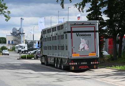 Gr??ter Schweineschlachthof Norddeutschlands Ein Lastwagen steht am 04.Juni 2024 vorm Werk der Weidemark Fleischwaren Gm-stock-photo