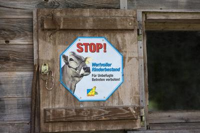 Rinderstall Stop wertvoller Rinderbestand *** Cattle barn stop valuable cattle 1065528168-stock-foto