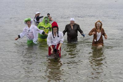 39. Winterschwimmen in Berlin-stock-foto