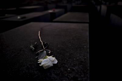Deutschland, Berlin, 27.01.2024, Holocaust Mahnmal, Jahrestags der Befreiung des Vernichtungs- und Konzentrationslagers-stock-foto
