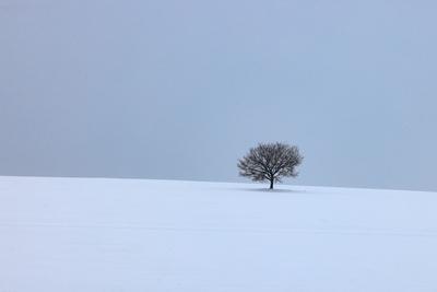 Winter in Wittgenstein-stock-foto