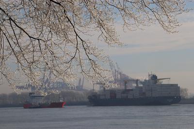 Frostige Temperaturen in Hamburg sorgen f?r sch?ne Wintermotive. *** Frosty temperatures in Hamburg make for beautiful w-stock-foto