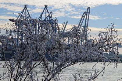 Frostige Temperaturen in Hamburg sorgen f?r sch?ne Wintermotive. *** Frosty temperatures in Hamburg make for beautiful w-stock-foto