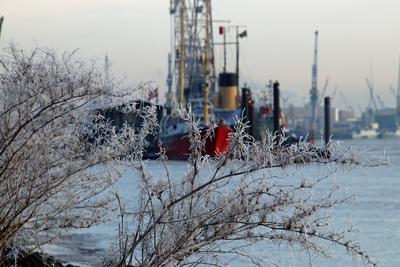 Frostige Temperaturen in Hamburg sorgen f?r sch?ne Wintermotive. *** Frosty temperatures in Hamburg make for beautiful w-stock-foto