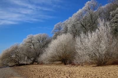 Frostige Temperaturen in Hamburg sorgen f?r sch?ne Wintermotive. *** Frosty temperatures in Hamburg make for beautiful w-stock-foto