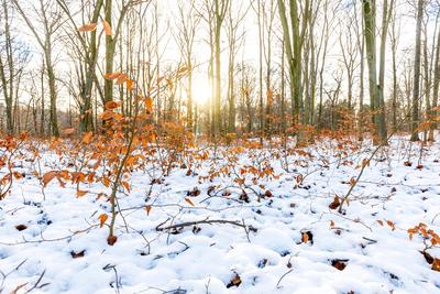 Wetter Sachsen-stock-foto