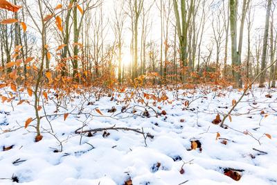 Wetter Sachsen-stock-foto