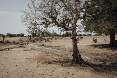  Sudanese refugees in Chad - 21/06/2024 - chad / ? Adre ? - A dry river in the area around the town of Koufroun. Sudane-stock-photo