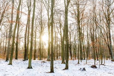 Wetter Sachsen-stock-foto