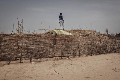  Sudanese refugees in Chad - 21/06/2024 - chad / ? Adre ? - A Sudanese refugee builds a shelter in an informal camp in-stock-photo