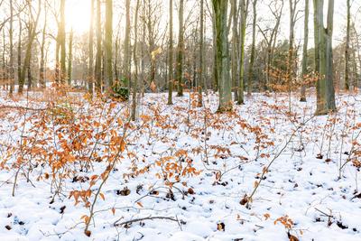 Wetter Sachsen-stock-foto
