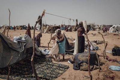  Sudanese refugees in Chad - 19/06/2024 - chad / ? Adre ? - Women from the village of Kondobei in Sudan build a tent at-stock-foto