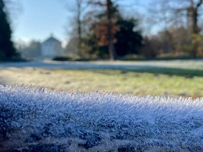 RECORD DATE NOT STATED 20.12.2024 Sachsen Anhalt Sachsen-Anhalt W?rlitz Frost Eis Reif Winter K?lte vereiste Natur dekor-stock-foto