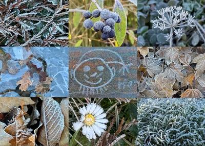 RECORD DATE NOT STATED 20.12.2024 Sachsen Anhalt Sachsen-Anhalt W?rlitz Frost Eis Reif Winter K?lte vereiste Natur dekor-stock-foto