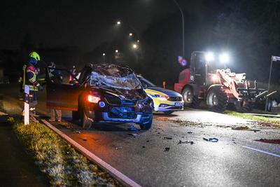 Pferd kollediert mit PKW.-stock-foto