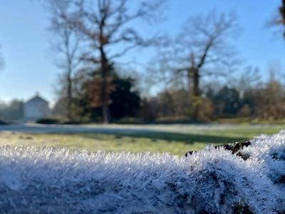 RECORD DATE NOT STATED 20.12.2024 Sachsen Anhalt Sachsen-Anhalt W?rlitz Frost Eis Reif Winter K?lte vereiste Natur dekor-stock-foto